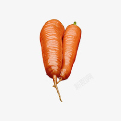 胡萝卜蔬菜红色12素材