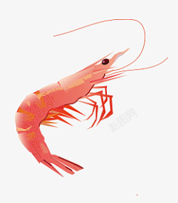 红色皮皮虾手绘皮皮虾海鲜插画高清图片