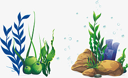 海底植物海藻png免抠素材_新图网 https://ixintu.com 植物 海藻 海底植物 石头