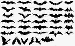 手绘蝙蝠图标素材