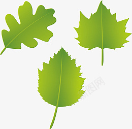 三个绿色树叶的小清新ai免抠素材_新图网 https://ixintu.com 绿色 树叶 装饰 小清新