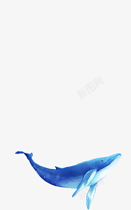 动物海豚图案png免抠素材_新图网 https://ixintu.com 动物 海豚 图案 元素