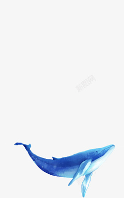 动物海豚图案素材