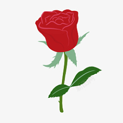 七夕浪漫红色玫瑰花素材素材