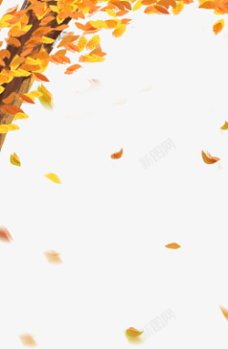 秋天里的落叶素材