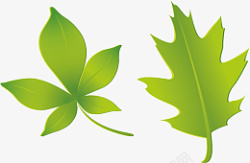 绿色树叶小清新夏天装饰两个叶子素材