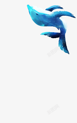 海豚图案元素素材