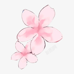 花草插画粉色花卉手绘设计边框装饰高清图片