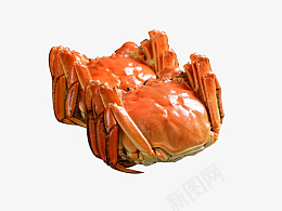 两只肥螃蟹海鲜png免抠素材_新图网 https://ixintu.com 肥蟹 螃蟹 海鲜 美食