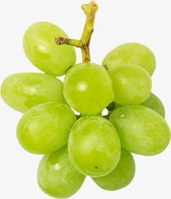 葡萄成熟水果素材