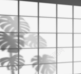手绘创意窗户框植物投影png免抠素材_新图网 https://ixintu.com 光线 创意 叶子 影子 手绘 树叶 树叶阴影 阴影 龟背竹