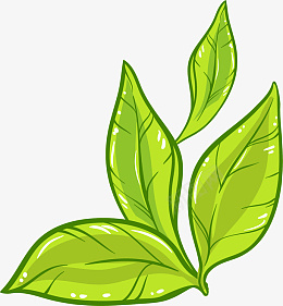 绿茶手绘元素png免抠素材_新图网 https://ixintu.com 绿茶 手绘绿茶 树叶 绿色