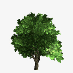 绿色免扣大型树木素材
