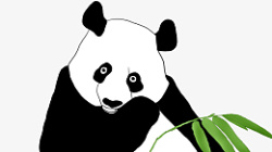 手绘国宝熊猫元素素材