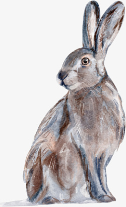 动物兔子水彩手绘小清新素材