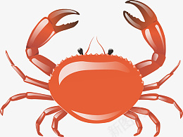 红色螃蟹卡通插画png免抠素材_新图网 https://ixintu.com 螃蟹 红色 大闸蟹 海边 河蟹