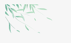 漂浮柳叶清明节绿色漂浮柳叶高清图片