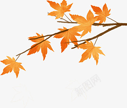 秋天的枫树枝干png免抠素材_新图网 https://ixintu.com 枫树 枝干 树枝 枫树枝干