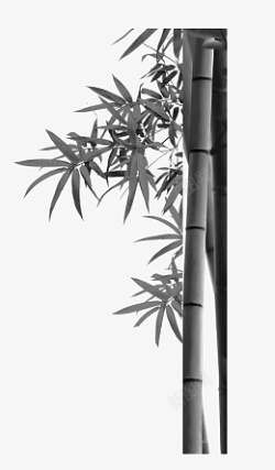 中国风的水墨竹子素材
