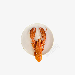 一只在盘子里的小龙虾png免抠素材_新图网 https://ixintu.com 盘子 龙虾 夏日 美食