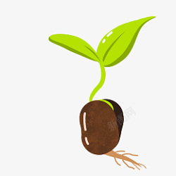 种子萌芽豆芽可爱绿色食品保护自然蔬菜高清图片