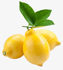 柠檬三个柠檬png免抠素材_新图网 https://ixintu.com 柠檬 三个柠檬 水果 柠檬有叶子