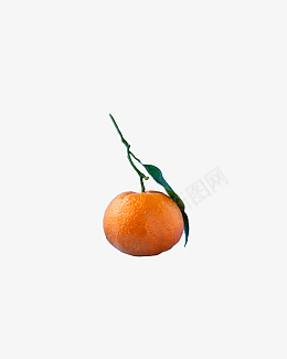 一个带叶子的新鲜橘子png免抠素材_新图网 https://ixintu.com 橘子 水果 橙子 叶子