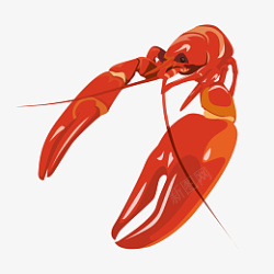 深海动物红色的小龙虾插画高清图片