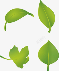 四个绿色树叶装饰小清新素材