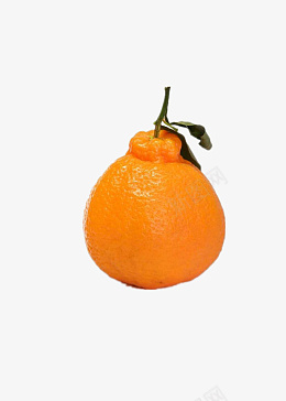 丑橘水果食物png免抠素材_新图网 https://ixintu.com 水果 丑橘 食物 橙色