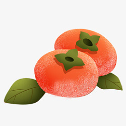鲜红的大柿子素材