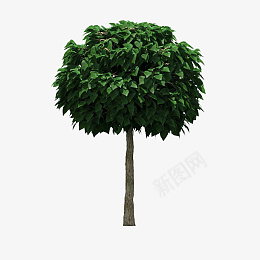 树装饰物绿色树png免抠素材_新图网 https://ixintu.com 植物 树 绿色 叶子