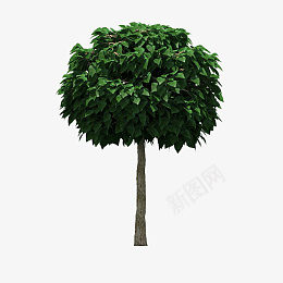树装饰物绿色树png免抠素材_新图网 https://ixintu.com 植物 树 绿色 叶子
