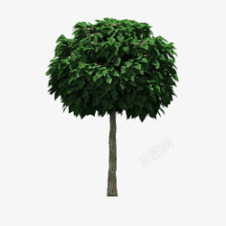 树装饰物绿色树素材