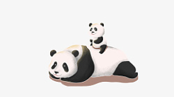 国潮风手绘熊猫素材