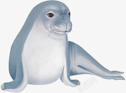 写实卡通哺乳类生物海豹素材