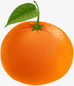 金色甜甜的水果橘子素材