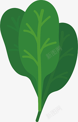 绿色的菜叶子png免抠素材_新图网 https://ixintu.com 菜叶子 绿色 手绘 矢量图 装饰 png装饰 png图形