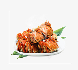 清蒸新鲜螃蟹png免抠素材_新图网 https://ixintu.com 清蒸 新鲜 螃蟹 免扣