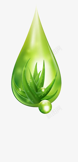 绿色水滴装饰png免抠素材_新图网 https://ixintu.com 绿色 水滴状 植物 装饰