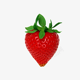 新鲜草莓免扣图片png免抠素材_新图网 https://ixintu.com 草莓 免扣 png 素材