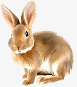 卡通高清PNG兔子动物图片png免抠素材_新图网 https://ixintu.com 高清 兔子 动物 图片
