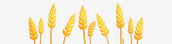 田地稻田植物素材高清图片