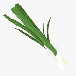 配菜调料蔬菜绿色大葱插画高清图片