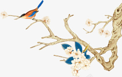 中国风喜鹊喜上眉梢小鸟树枝素材
