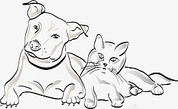 手绘猫狗在一起的png免抠素材_新图网 https://ixintu.com 猫狗 宠物 手绘 logo
