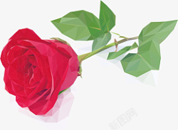 瑰红色一朵红色玫瑰花元素素材高清图片