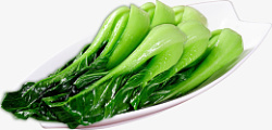 上海青蔬菜绿色素材