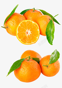 柑橘类水果爱媛素材