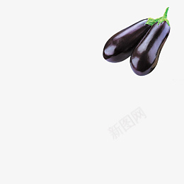 两个紫色长茄子png免抠素材_新图网 https://ixintu.com 紫茄子 长茄子 紫色 植物